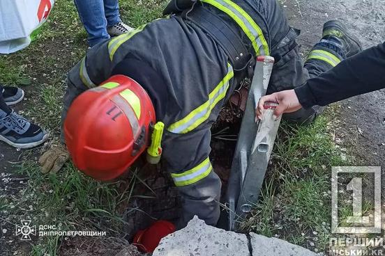Чотирилапі важливі: у Металургійному районі Кривого Рогу з глибокої пастки врятували пухнастого бідосю1