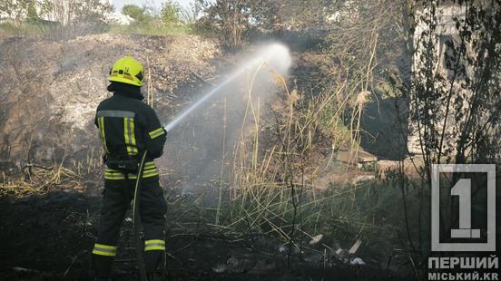Дим заповнив все подвір’я: на Сонячному рятувальники загасили займання2