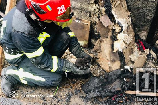 Друге життя вусаня: на Криворіжжі ДСНСники врятували з вогню цуценя2