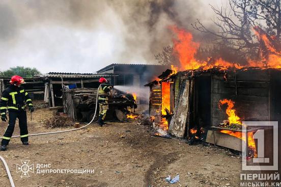 Друге життя вусаня: на Криворіжжі ДСНСники врятували з вогню цуценя1