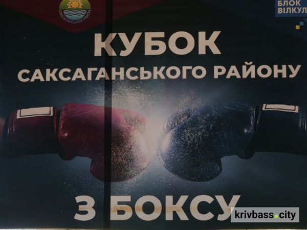 Гордість міста: юні боксери Кривого Рогу здобули 11 золотих медалей на Кубку Саксаганського району 2