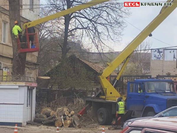 Дерева омолоджують робітники ДомКому в Кривому Розі