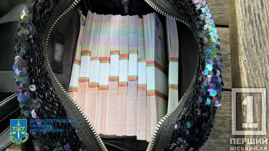 Мільйон за дитину: у Дніпрі матір отримала 8 років в’язниці за продаж власного дворічного сина2