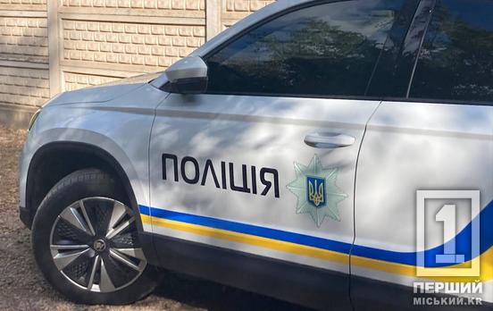 Може надовго сісти за ґрати: у Кривому Розі затримали хлопця, який під погрозою зброєю обікрав підлітка