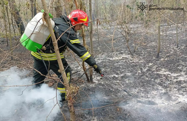 На Дніпропетровщині не вщухають пожежі на відкритих територіях: за добу вогонь знищив 11 гектарів екосистем0