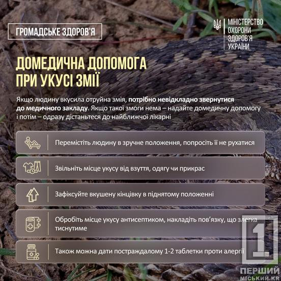 Почався сезон активності отруйних змій: МОЗ попередило про небезпеку2