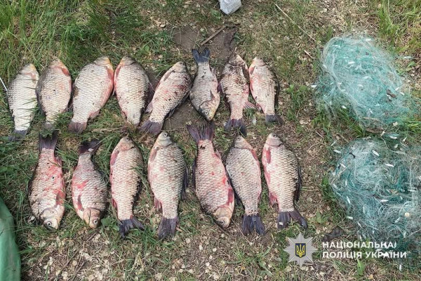 У Кривому Розі браконьєр виловлював рибу сітками попри нерестову заборону 0