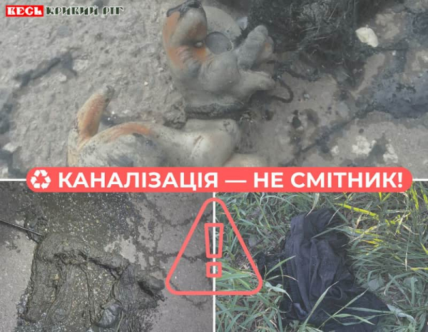 М’яку іграшку примудрились змити в унітаз в Кривому Розі