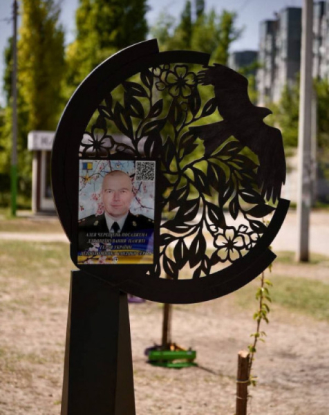 В одному з парків Кривого Рогу висадили алею черешень у пам'ять про Героя України Сергія Кандибу0