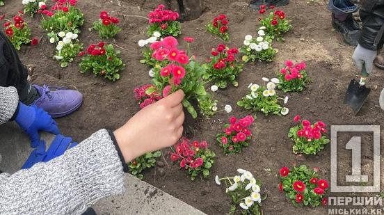 Вона була особлива, ні на кого не схожа: у Києві розквітли маргаритки, висаджені на пам'ять про полеглу військову з Кривого Рогу Маргариту Половінко1