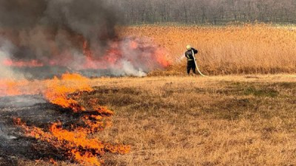 З початку року в екосистемах Дніпропетровщини вже зафіксовано майже 2000 пожеж0