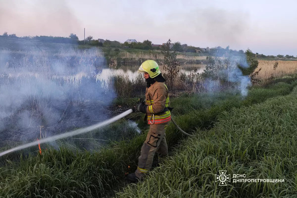 За минулу добу на Дніпропетровщині пожежами знищено 28 га в екосистемах2