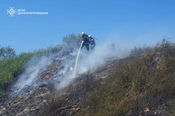 За минулу добу на Дніпропетровщині пожежами знищено 28 га в екосистемах3