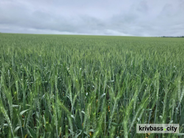 фото пресслужби Криворізької РВА