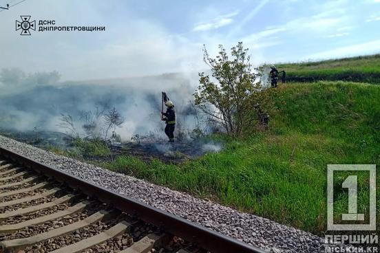 Злісним паліям світять штрафи до 6 120 грн: рятувальники Дніпропетровської області загасили 14 пожеж просто неба3