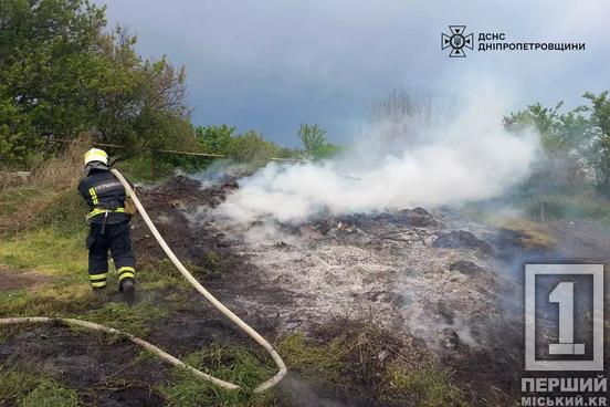 Злісним паліям світять штрафи до 6 120 грн: рятувальники Дніпропетровської області загасили 14 пожеж просто неба2