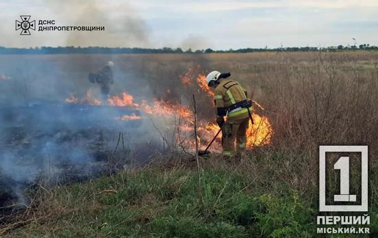 Злісним паліям світять штрафи до 6 120 грн: рятувальники Дніпропетровської області загасили 14 пожеж просто неба