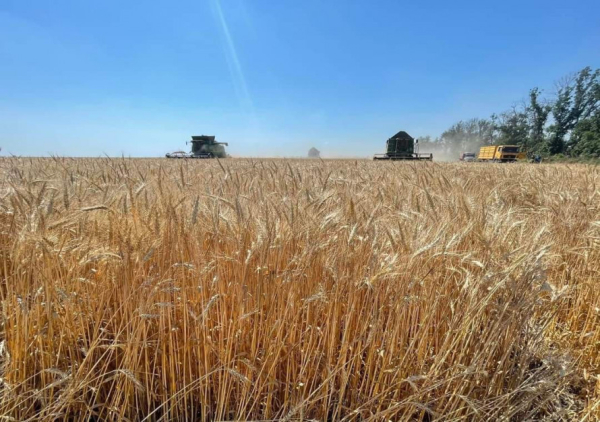 Аграрії Криворіжжя пересівають культури знищені погодою3