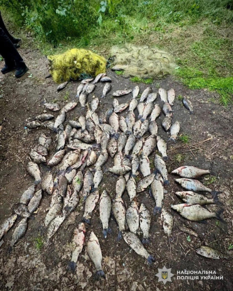 Браконьєрів затримали на гарячому: у Кривому Розі рибалили під час нересту1