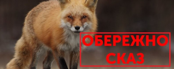 На Дніпропетровщині від сказу померла людина0