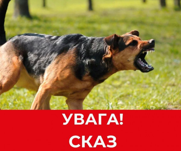 На Дніпропетровщині зареєстрували ще один випадок сказу домашньої тварини0