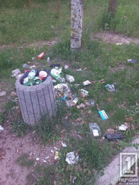 Не вкрали, а демонтували: на «Східному» прибрали смітники у зеленій зоні через несумлінних відвідувачів1