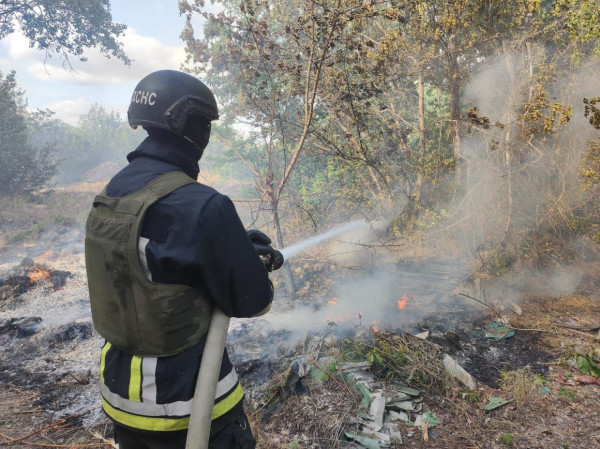 Потягом дня російська армія майже два десятки разів гатила по Нікопольщині1