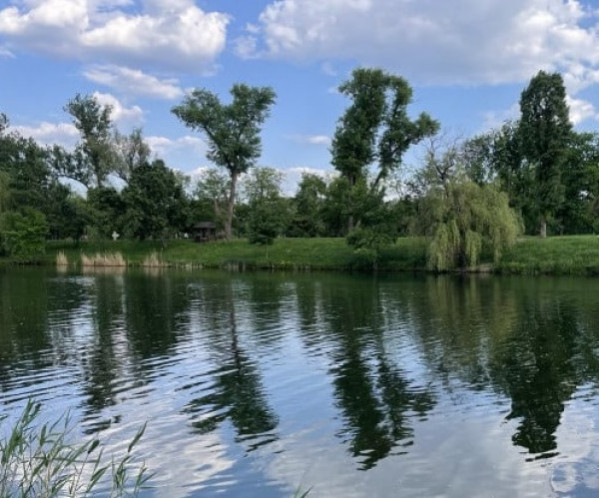 У Кривому Розі в річці на одному з пляжів виявили кишкову паличку та паразитів0