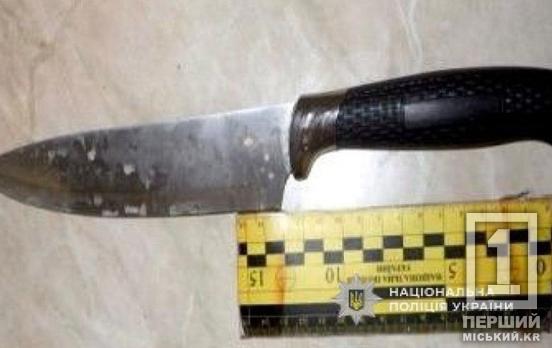 У Кривому Розі в’язничний вирок отримав чоловік з ножем