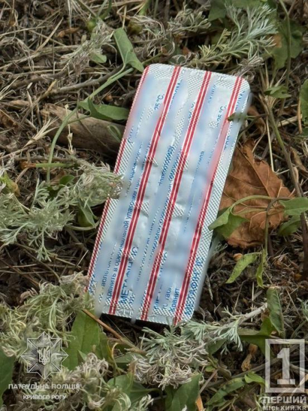 У Кривому Розі затримали чоловіка, який носив з собою «кайф» у таблетках1