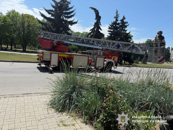 У Нікополі поліцейські знешкодили ударний дрон з вибухівкою, що застряг на ялинці0