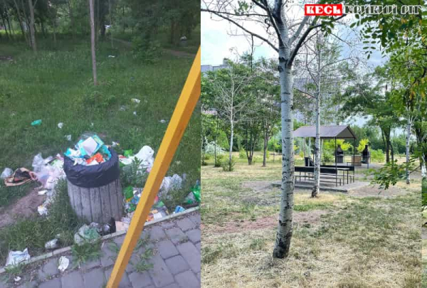 Пікнікова зона перетворилась на смітник на Східному в Кривому Розі