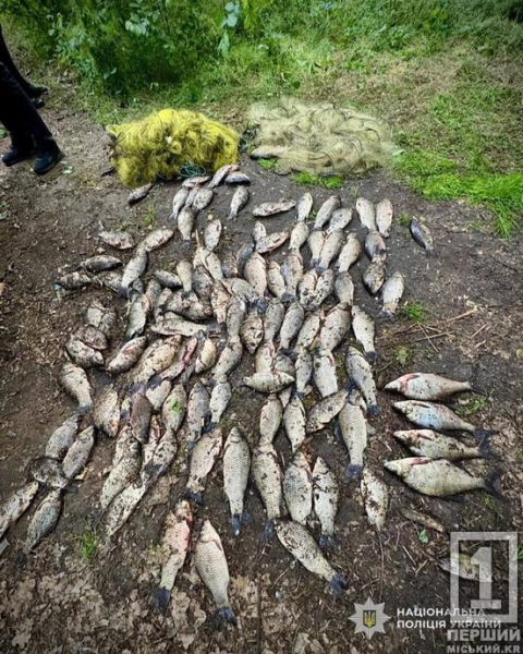 Заборона не спинила: у Кривому Розі чорний рибалка наробив шкоди на 200 тисяч1
