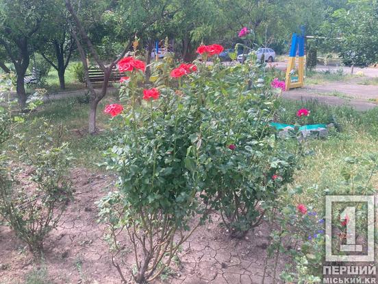 Залишив по собі квітучу пам'ять: на будинку, де жив криворізький воїн Володимир Стрельцов відкрили меморіальну дошку4