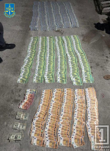 11000 доларів з криворіжців та дніпрян: подружжя, що допомагало військовозобов’язаним, опинилося під слідством2