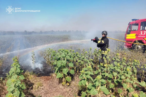 Через аномальну спеку на Дніпропетровщині щодня збільшується кількість гектарів землі,  випаленої пожежами  1