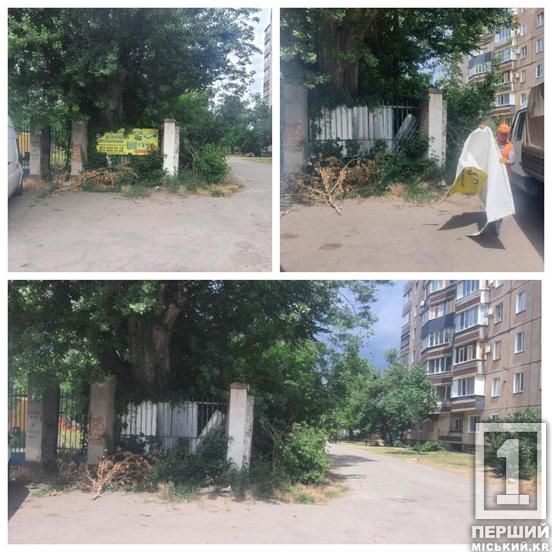 Інфошуму просто неба – не місце: у Кривому Розі прибрали 18 незаконних реклам4