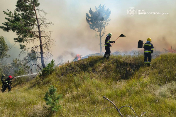 На Дніпропетровщині протягом доби вогнеборці ліквідували 46 пожеж в екосистемах1