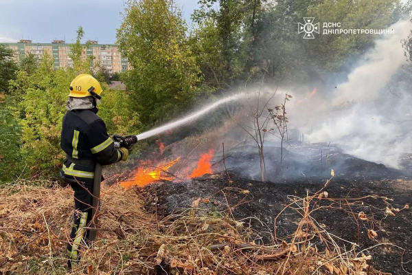 На Дніпропетровщині протягом доби вогнеборці ліквідували 46 пожеж в екосистемах5