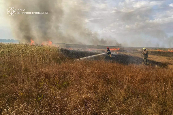 На Дніпропетровщині протягом доби вогнеборці ліквідували 46 пожеж в екосистемах4