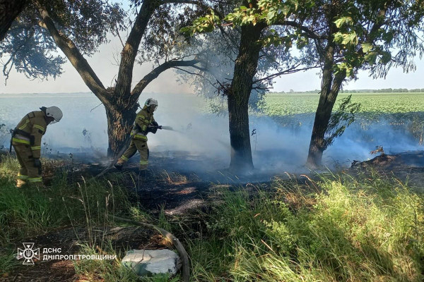 На Дніпропетровщині протягом доби вогнеборці ліквідували 46 пожеж в екосистемах3