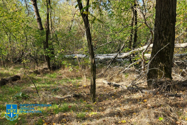 На Дніпропетровщині викрили масштабну незаконну вирубку лісу: збитки – майже 34 мільйони гривень4