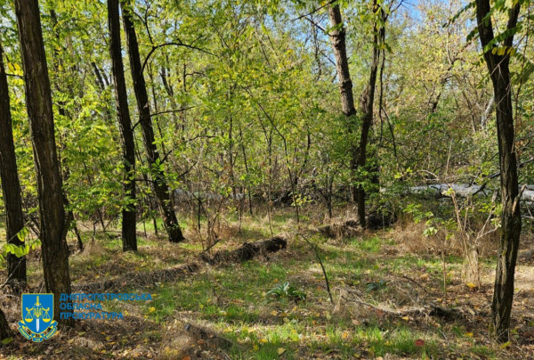 На Дніпропетровщині викрили масштабну незаконну вирубку лісу: збитки – майже 34 мільйони гривень5