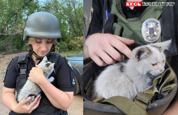 Поліціянтка врятувала кошеня з-під завалів шахедного удару по Кривому Рогу