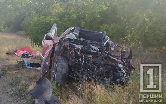 Трагедія забрала життя одразу трьох: на автодорозі Дніпро-Кривий Ріг-Миколаїв сталася смертельна ДТП з фурою
