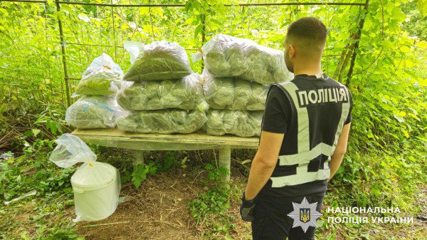 У Кривому Розі ліквідовано потужну наркоорганізацію «Краснобалівські»: щомісячний прибуток — понад 20 мільйонів гривень2
