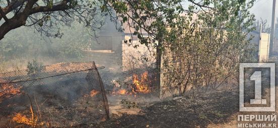 У Кривому Розі зайнялися дачі: вогонь охопив вісім будинків та два гектари сухостою4