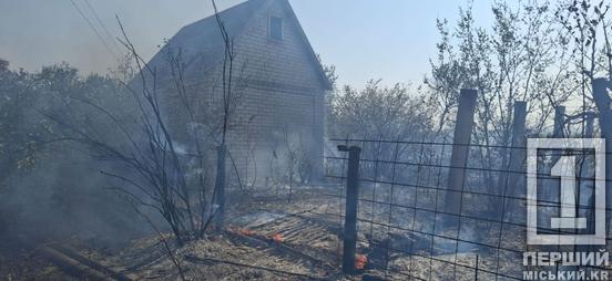 У Кривому Розі зайнялися дачі: вогонь охопив вісім будинків та два гектари сухостою1