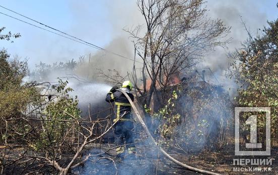 У Кривому Розі зайнялися дачі: вогонь охопив вісім будинків та два гектари сухостою