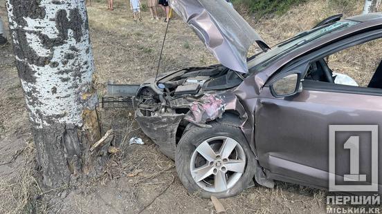 Уникав одну ДТП і потрапив в іншу: на криворізькій об’їзній Skoda вдарила дерево2